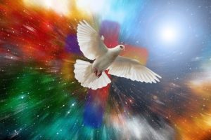 Dove - Universe