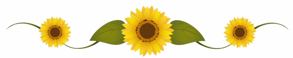 Three Beautiful Sunflowers as a Divinder