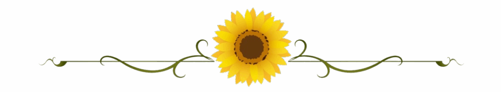 Beautiful Sunflower Divider