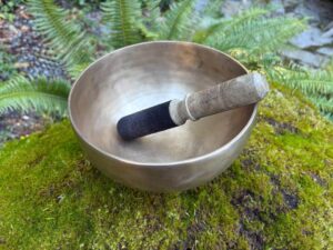 Beautiful Singing Bowl in Nature